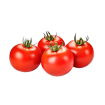 Tomatoes Round