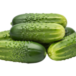 Baby Cucumber