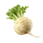 Celeriac