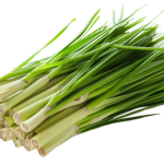 Lemon Grass Each