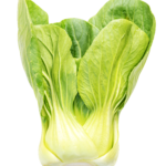 Pac Choi