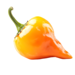 Baby Peppers Local Pkt