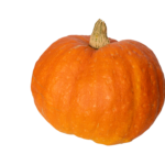Pumpkin Small Whole (Halloween)