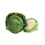 Cabbage Savoy