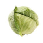 Cabbage White Local