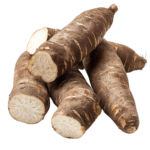 Cassava