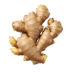 Ginger Spain
