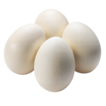 Eggs x 6