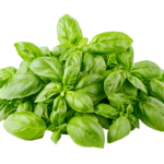 Basil Bunch