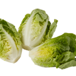 Baby Jam Lettuce Pkt