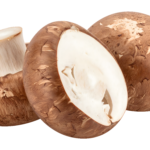 Mushroom Brown