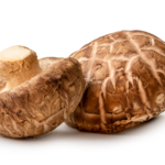 Mushroom Shiitake
