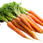 DIB Carrots