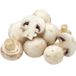 Mushroom White