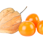 Physalis Fruit