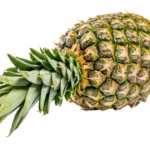 Pineapple Medium