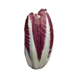 Radicchio