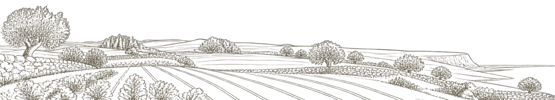 Footer Background