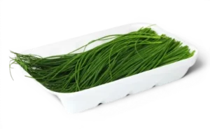 Chives Pot