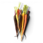 Baby Carrots Coloured