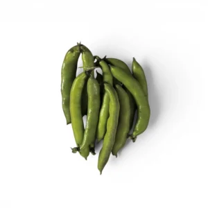 Broad Beans (Ful Ahdar) Big