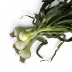 Onion White Fresh Bunch