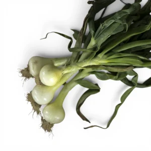 Onion White Fresh Bunch