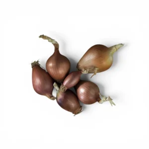 DIB Onion