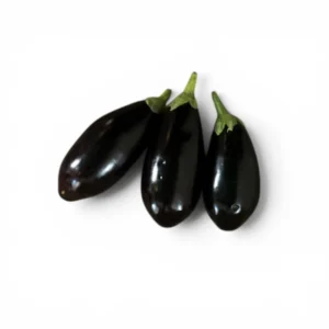 Aubergine Local