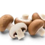 Mushroom Brown