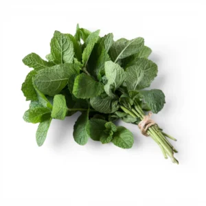 Mint Bunch