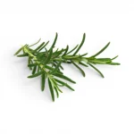 Rosemary