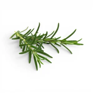 Rosemary