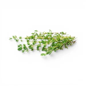 Thyme