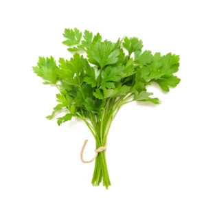 Coriander pkt