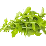 Salad Pkt Rukola