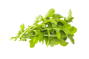 Salad Pkt Rukola