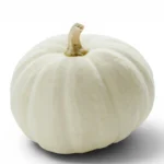 Pumpkin White