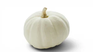 Pumpkin White