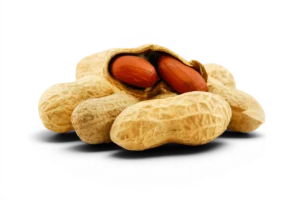 Peanut Roasted No Salt