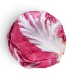 Radicchio
