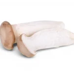 Mushroom King Oyster Local PKT