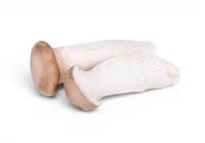 Mushroom King Oyster Local PKT