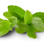 Stevia Sugar Substitute 50gr