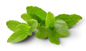 Stevia Sugar Substitute 50gr