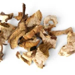 Mushroom Dry Porcini