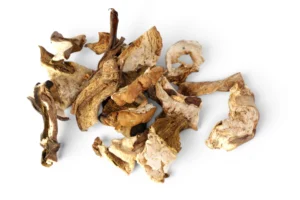 Mushroom Dry Porcini