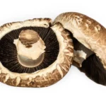 Mushroom Portobello