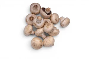 Mushroom Button