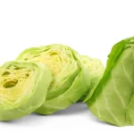 Cabbage Pointed